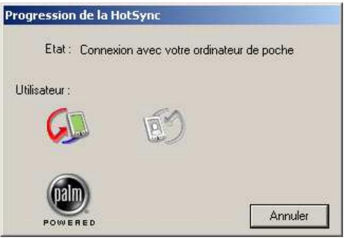 VIAMICHELIN NAVIGATION 2006 POUR PDA - Si votre PDA est de type palmos, - 2