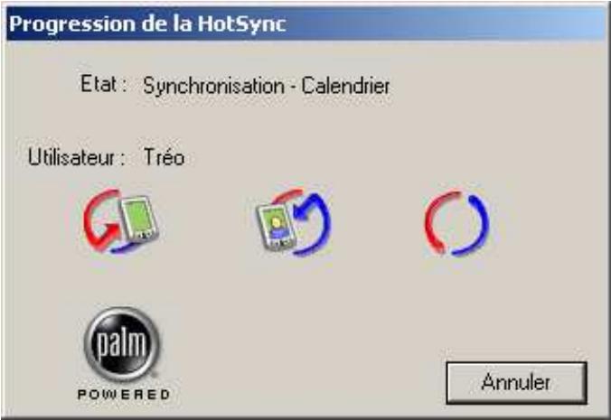 VIAMICHELIN NAVIGATION 2006 POUR PDA - Si votre PDA est de type palmos, - 5