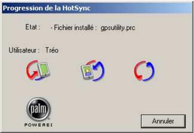 VIAMICHELIN NAVIGATION 2006 POUR PDA - Installation sur PDA de type palm OS® - 6