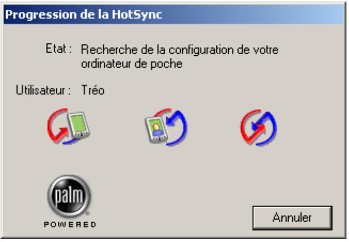 VIAMICHELIN VMN V5 - Installation sur PDA de type Palm OS® - 10