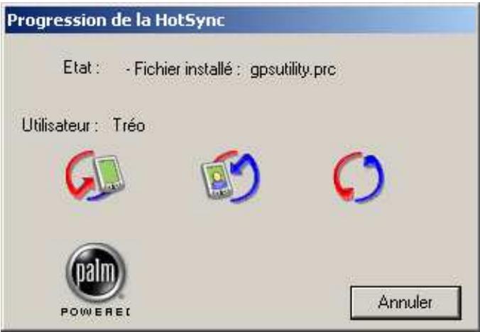 VIAMICHELIN VMN V5 - Installation sur PDA de type Palm OS® - 6