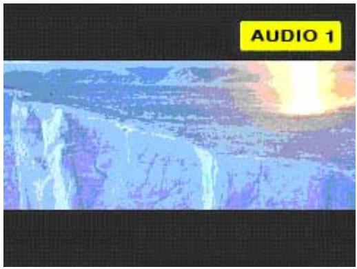 WE DIGITAL - Pour contrôle la taille du sous-titrage et la position lors de la lecture d'un film. - 1