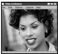 VIVANCO VGA WEBCAM - Videokonferenzen abhalten - 1
