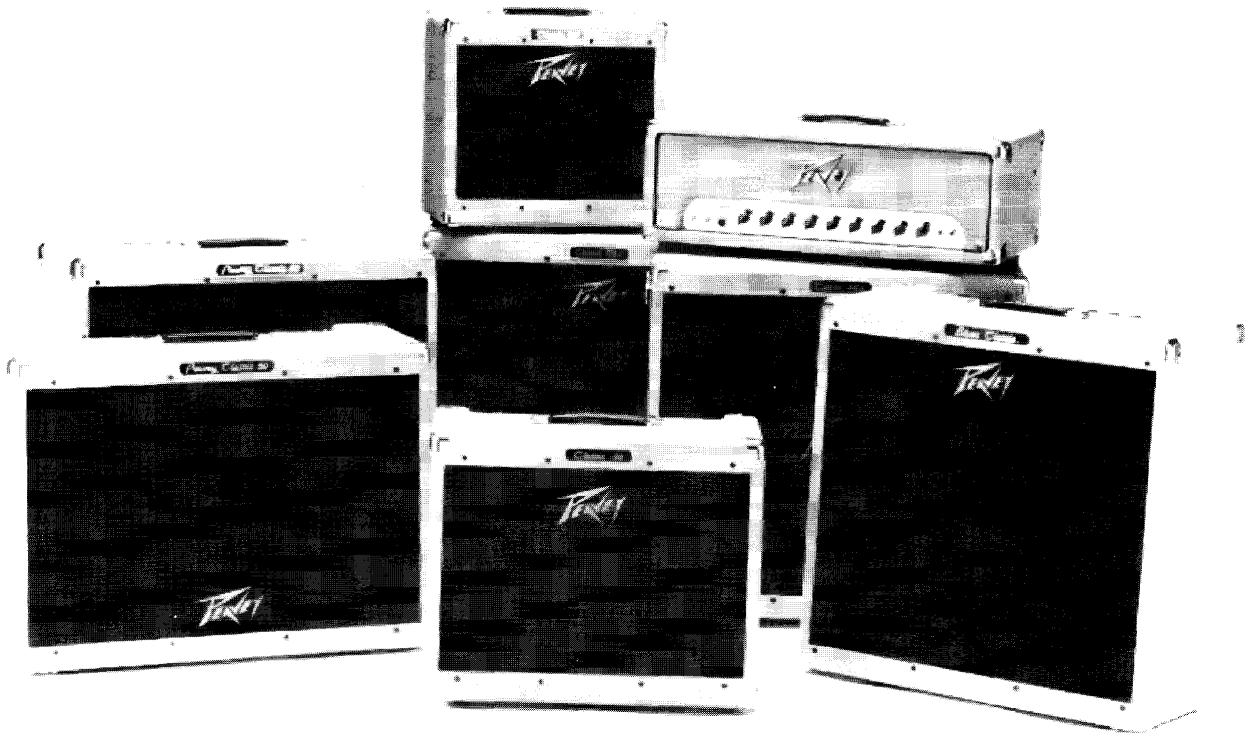 PEAVEY DELTA BLUES - FEATURES - 1