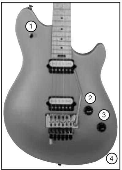 PEAVEY EVH WOLFGANG - Selecteur de Micros (1) - 1