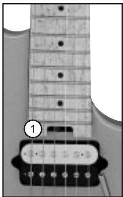 PEAVEY EVH WOLFGANG - Tige de Renfort (1) - 1