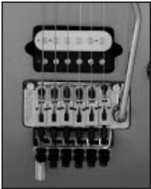PEAVEY EVH WOLFGANG - Intonation - 1