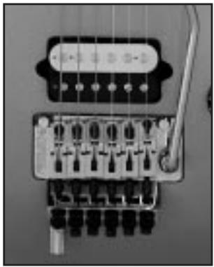 PEAVEY EVH WOLFGANG - Entonación de las cuerdas - 1
