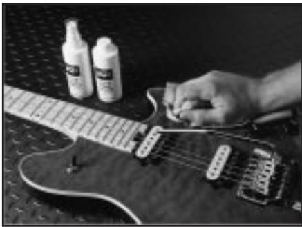 PEAVEY EVH WOLFGANG - Accessories - 1