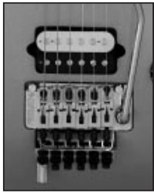 PEAVEY EVH WOLFGANG - Fixed-Bridge Assembly - 1