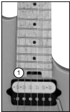 PEAVEY EVH WOLFGANG - Torsion Rod (1) - 1