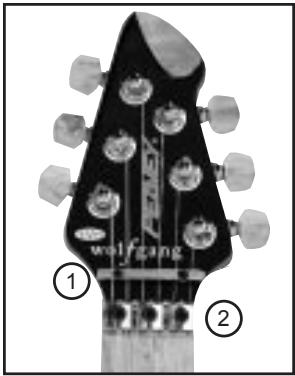 PEAVEY EVH WOLFGANG - Vibrato - 1
