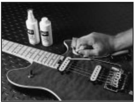 PEAVEY EVH WOLFGANG - Accessoires - 1