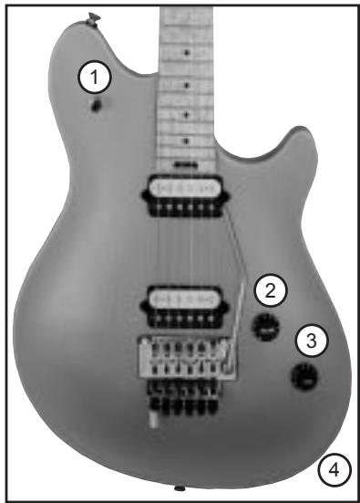 PEAVEY EVH WOLFGANG - Interruptor selector de fonocaptores (1) - 1