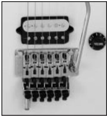 PEAVEY EVH WOLFGANG SPECIAL GUITAR - Entonación de las cuerdas - 1