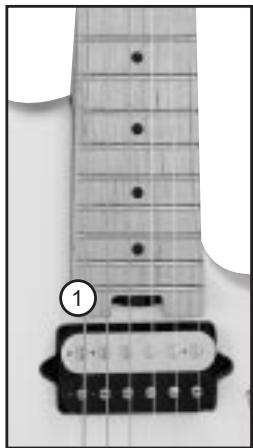 PEAVEY EVH WOLFGANG SPECIAL GUITAR - Tige de Renfort (1) - 1