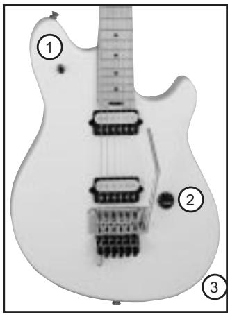 PEAVEY EVH WOLFGANG SPECIAL GUITAR - Pickup Wahlschalter (1) - 1