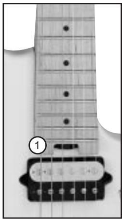 PEAVEY EVH WOLFGANG SPECIAL GUITAR - Torsion Rod (1) - 1