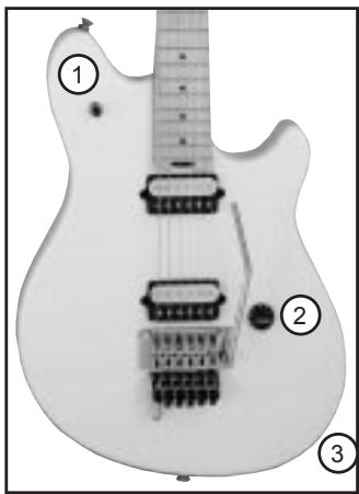 PEAVEY EVH WOLFGANG SPECIAL GUITAR - Interruptor selector de fonocaptores (1) - 1