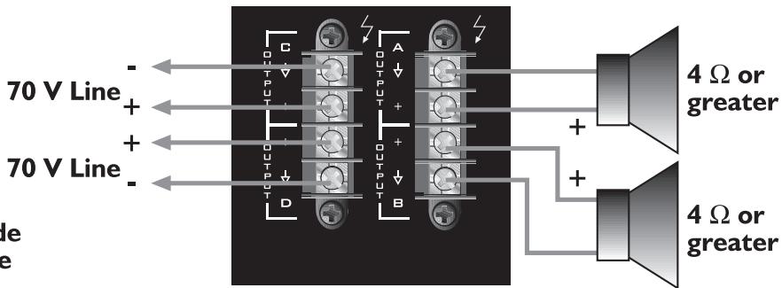 PEAVEY ICS 4200 - Modos de Salida - 3