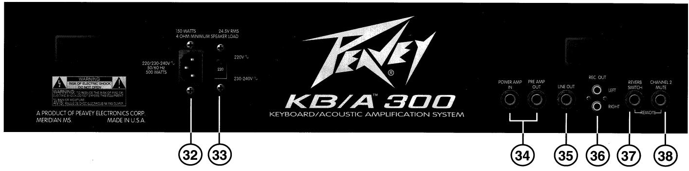 PEAVEY KB-A 300 - POWER SWITCH (Interrupteur d'alimentation) (31) - 1