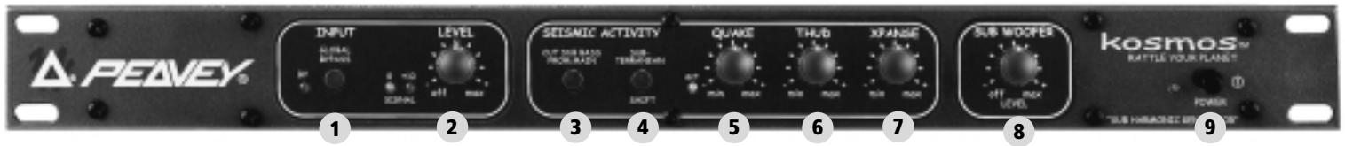 PEAVEY KOSMOS - 3