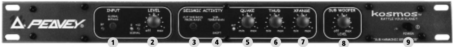 PEAVEY KOSMOS - SORTIES GAUCHE ET DROITE: - 1