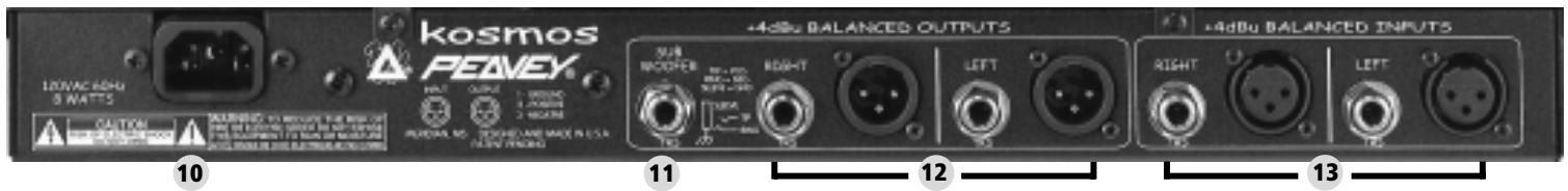 PEAVEY KOSMOS - PANEL TRASERO - 1