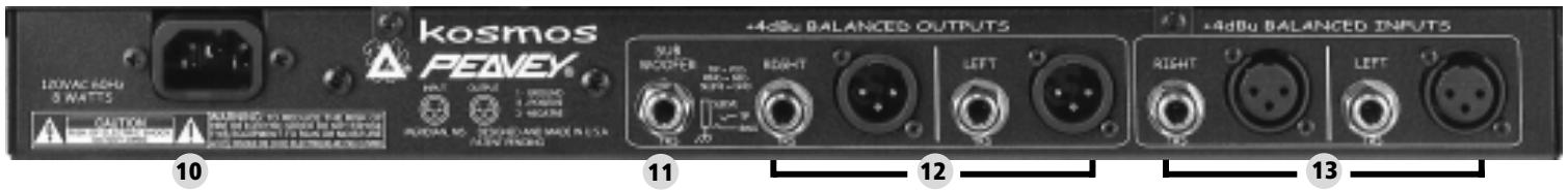 PEAVEY KOSMOS - BACK PANEL - 1