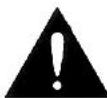PEAVEY MAQ 300 - FUSE (Fusible) (14) - 2