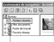 ULEAD PHOTOIMPACT XL - Le Gestionnaire de navigation - 3