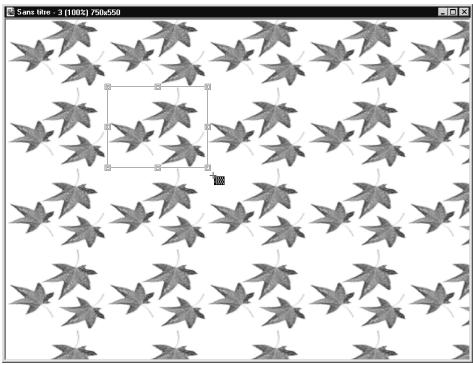 ULEAD PHOTOIMPACT XL - Remarques : - 3