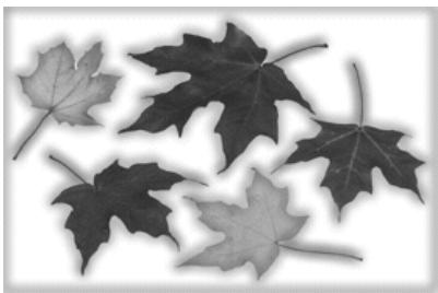 ULEAD PHOTOIMPACT XL - Pour peindre sur les bords : - 2