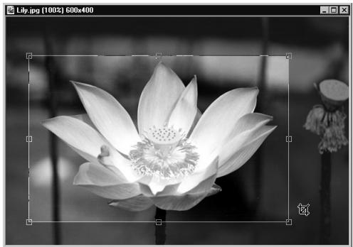 ULEAD PHOTOIMPACT XL - Pour utiliser l'Outil Découper : - 1