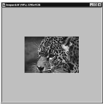 ULEAD PHOTOIMPACT XL - Zoom avant sur une image - 2