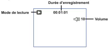 AIPTEK DV T300 - Lire les indicateurs LCD - 3