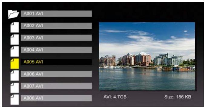 VIEWSONIC VFM1024W-11 - Vidéo - 1