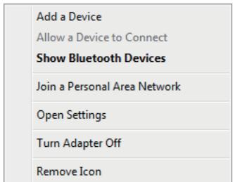 VIEWSONIC VIEWPAD 10 - Bluetooth - 1