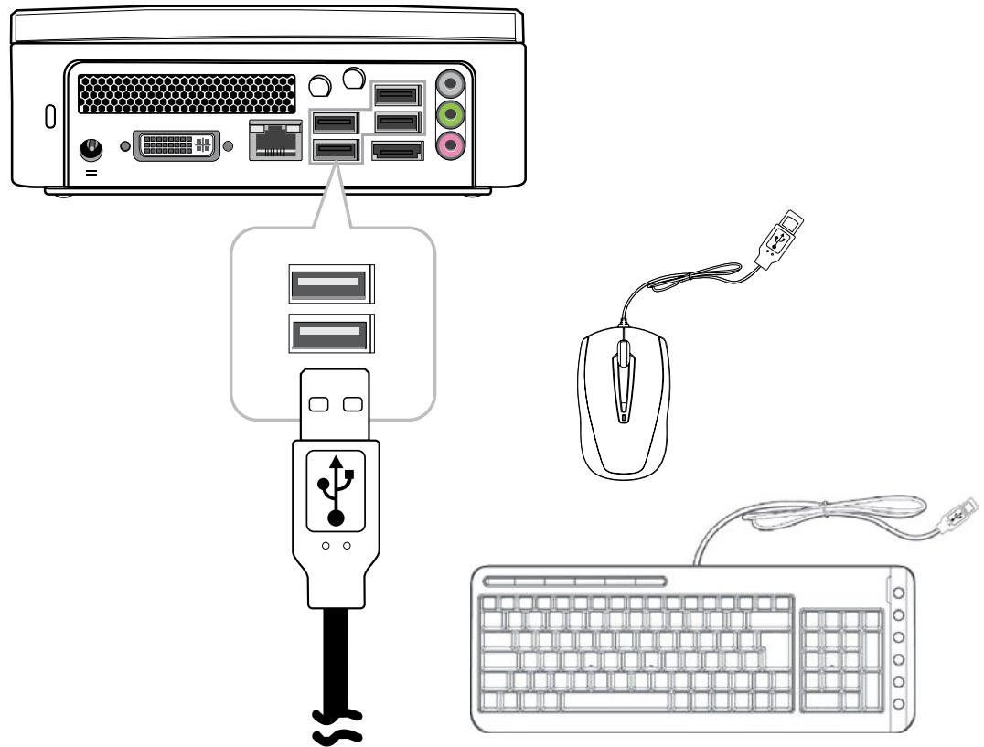VIEWSONIC VOT550 - Branchement d'un clavier et d'une souris - 1