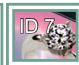 VIEWSONIC CDP5537-L - - 4X4: - 7