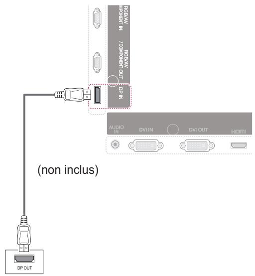VIEWSONIC CDP5537-L - Connexion Display Port - 2