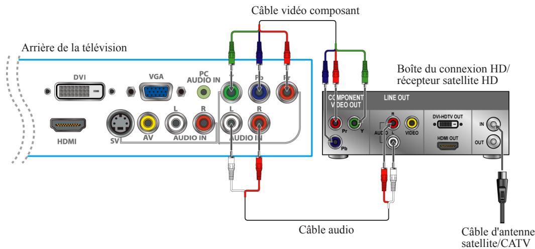 VIEWSONIC VT2755LED - Connexion DVI - 1