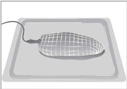 TEKA HA-890 - Comment placer la sonde à viande - 1