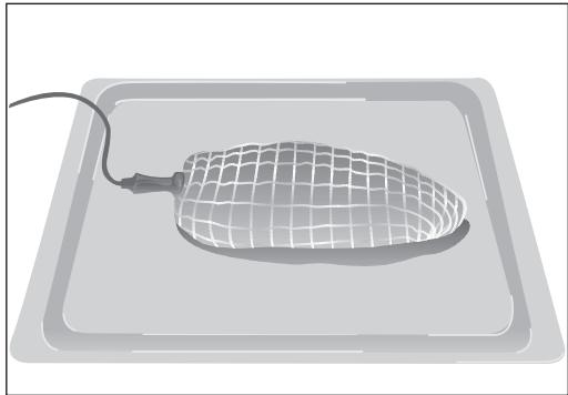 TEKA HA-890 - Como colocar a sonda de carne - 1