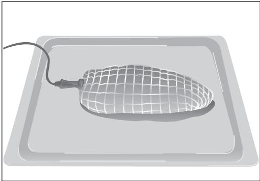 TEKA HA-890 - Einsetzen der Sonde in das Fleisch - 1