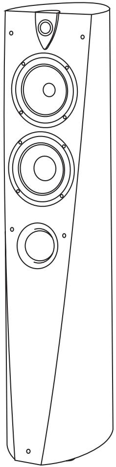 FOCAL PROFILE - Période de rodage - 1