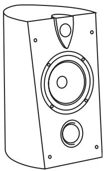 FOCAL PROFILE - Période de rodage - 2