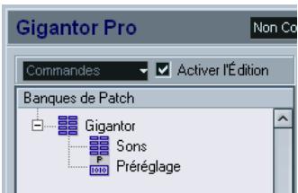 STEINBERG CUBASE SX - Nouveau préréglage - 1