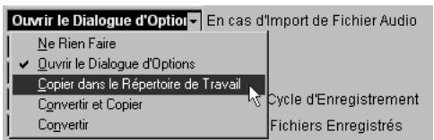 STEINBERG NUENDO - Options d'importation de fichiers audio - 1