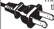 CROCK POT 32041 LITTLE DIPPER - POLARIZED PLUG - 1